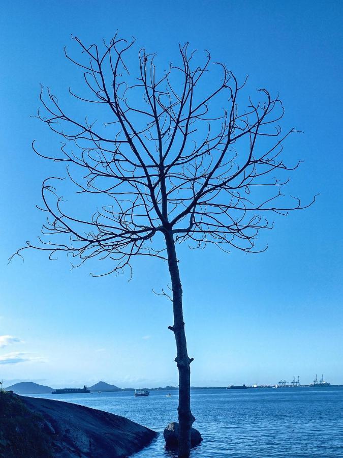 Pousada Pedra Das Tartarugas เซาฟรานซิสโก โด ซุล ภายนอก รูปภาพ